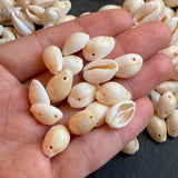 50 Pcs, 18-20mm Drilled Two Hole Sea Shell Cowrie Beads White