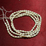 Freshwater Pearl Beads 5x4mm Off White
