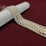 1 String 5x7mm Shell Pearls Drop Beads