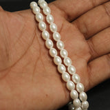 1 String, 8x6mm Shell Pearl Beads White Oval_MGB-135-1
