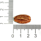 22x13mm Acrylic Almond Beads_acrb-792-2