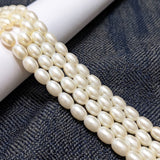 1 String 8×6mm Glass Oval Pearl Beads