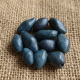 20 Pcs Black Synthetic Howlite Beads