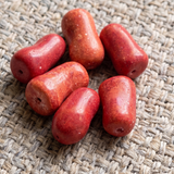 20 Pcs Red Synthetic Howlite Beads