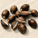 100 gm , 25-32mm Cowrie Shell Beads Brown Assorted Size Without Hole