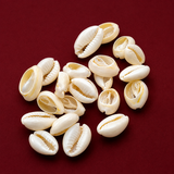 100 gm, 24x15mm-18x12mm Bulk Cut Sea Shell Cowrie Beads White