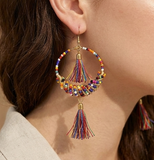 Seed Beads Tassel Earring Multicolor