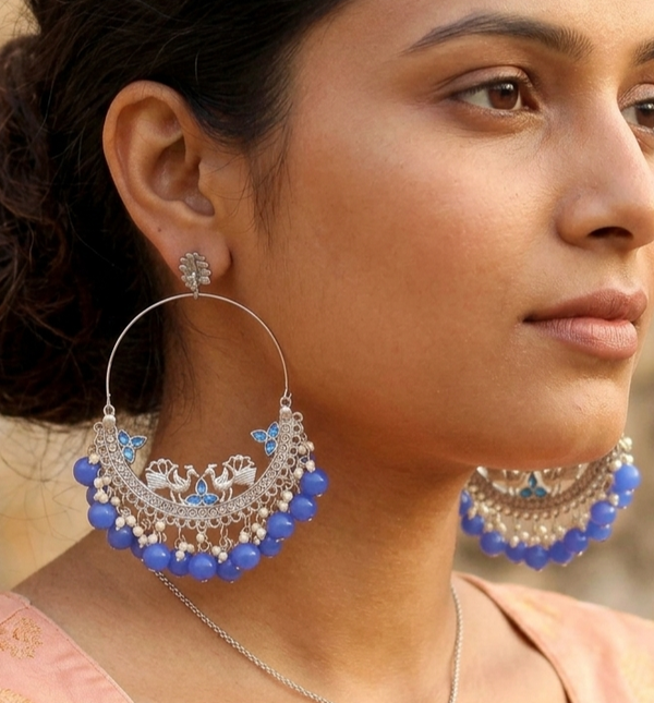 Ear Hoops Earrings