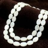 1 String Natural Shell Beads 15x10 mm