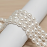 1 String, 8x6mm Shell Pearl Beads White Oval