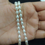 1 String 5x7mm Shell Pearls Drop Beads