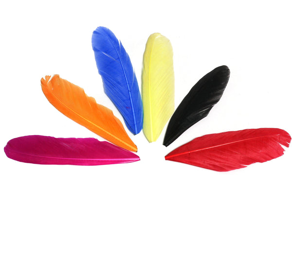 Jewellery Feathers
