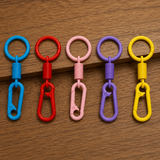 5 Pcs Snap Hook Keychains with Split Ring