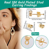4 Pcs Flat Round Brass Stud Earring, with Loops and 2 Pairs Ear Nuts, Real 18K Gold Plated, 4mm