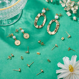 4 Pcs Flat Round Brass Stud Earring, with Loops and 2 Pairs Ear Nuts, Real 18K Gold Plated, 4mm