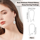 50 Pcs Brass Hoop Earring Findings, Kidney Ear Wire, Real Platinum Plated, 25x11.5mm
