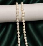 1 String 4x5mm AAA Quality Freshwater Natural Cultured Pearls
