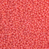 Opaque Glass Seed Beads 11`0
