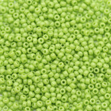 Opaque Glass Seed Beads 11`0