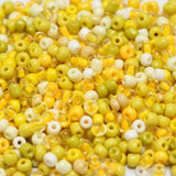 Glass Seed Beads 4`0 Multicolored