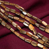 Shell Beads Brown Rainbow 15mm