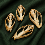 4 Pcs 2.5-3.5 Inches Sliced Seashells Cut Strombus Shells