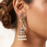 Parrot Dual Tone German Silver Earrings