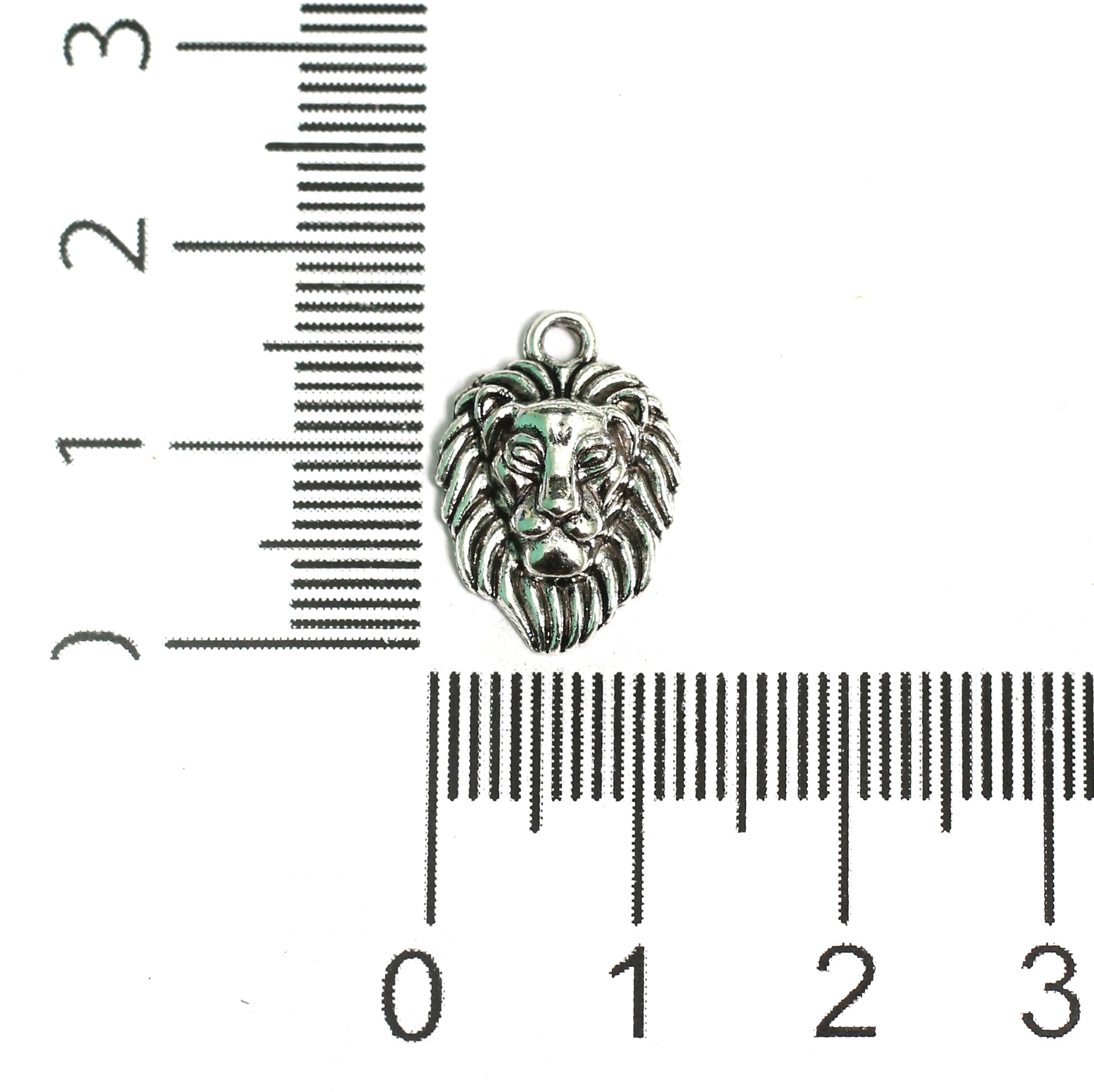 16x12mm German Silver Lion Face Charms