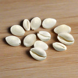 100 gm, 15-20mm Cowrie Shell Beads White Without Hole