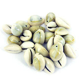20 Pcs, 15-20mm Drilled One Hole Sea Shell Cowrie Beads