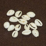 50 Pcs, 15-18mm Bulk Cut Sea Shell Cowrie Beads White