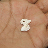 50 Pcs, 12-15mm Drilled One Hole Sea Shell Beads White