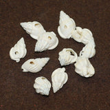 50 Pcs, 15-20mm Drilled One Hole Sea Shell Beads White