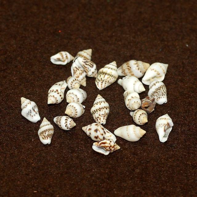 50 Pcs, 12-15mm Sea Shell Beads Without Hole