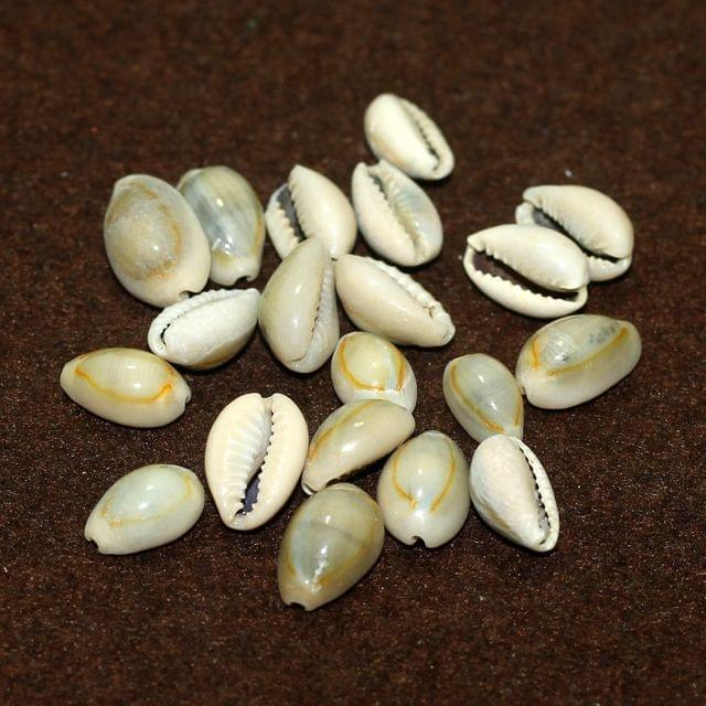 100 gm, 12-15mm Without Hole Sea Shell Cowrie Beads