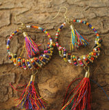 Seed Beads Tassel Earring Multicolor
