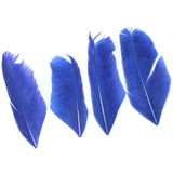 100 Pcs Premium Jewellery Making Feathers Combo