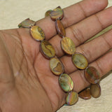 19x13mm Oval Shell Beads Olive 1 String
