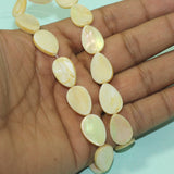 19x13mm  Drop Shell Beads Off White  1 String