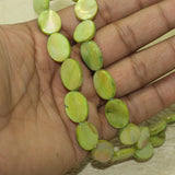 19x13mm  Oval Shell Beads Parrot Green 1 String