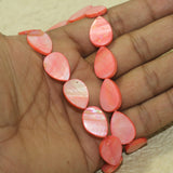 19x13mm Drop Shell Beads Pink 1 String