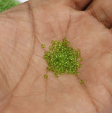 Preciosa Seed Beads Trans Parrot Green 11`0, 3900 Pcs
