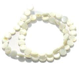 1 String Natural Shell Beads 8 mm