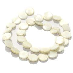 1 String Natural Shell Beads 12 mm