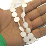 1 String Natural Shell Beads 12 mm