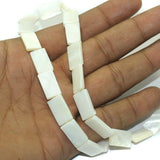 1 String Natural Shell Beads 15x10 mm