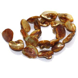 Coffee Shell Beads String 18-22 mm