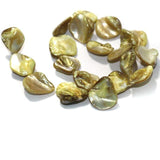 Golden Shell Beads String 18-22 mm