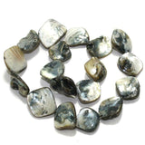 Grey Shell Beads String 18-22 mm
