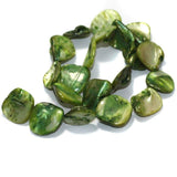 Parrot Green Shell Beads String 18-22 mm